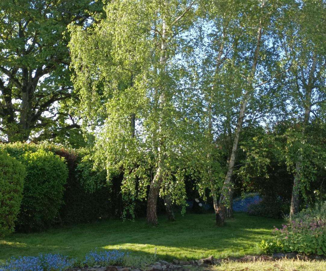 Bed and Breakfast Cadol'Ain Servignat Esterno foto